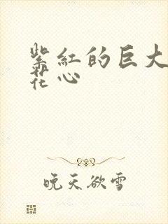 紫红的巨大顶开花心