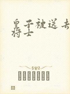 皇子被送去犒劳将士