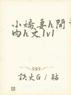 小娇妻h开荤粗肉h文1v1