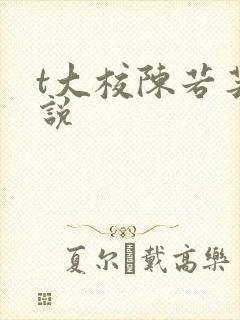 t大校陈若芸小说