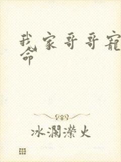 我家哥哥宠妹如命