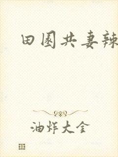 田园共妻辣