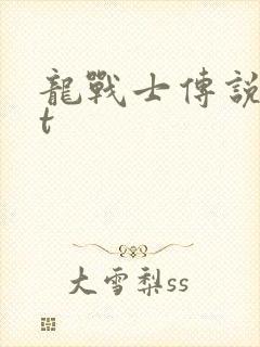 龙战士传说txt