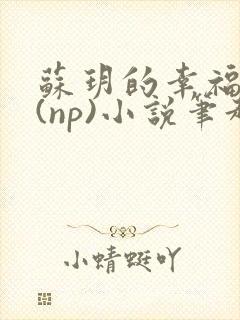 苏玥的幸福生活(np)小说笔趣阁