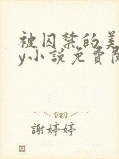 被囚禁的美人by小说免费阅读