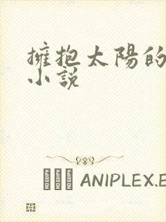 拥抱太阳的月亮小说