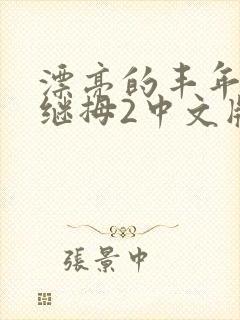 漂亮的丰年经的继拇2中文版