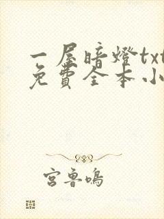 一屋暗灯txt免费全本小说电子书