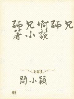 师兄啊师兄的原著小说