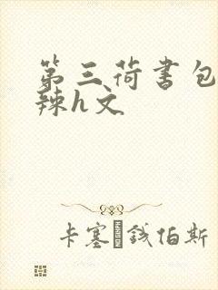 第三荷书包网高辣h文