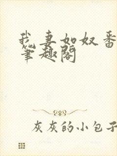 我妻如奴番外篇笔趣阁