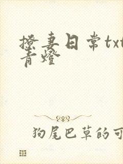 撩妻日常txt青灯