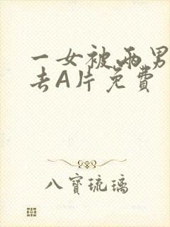 一女被两男桶进去A片免费