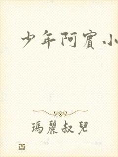 少年阿宾小说