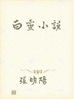 白灵小说