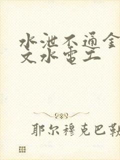 水泄不通金银原文水电工