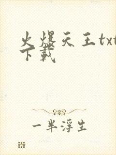 火爆天王txt下载