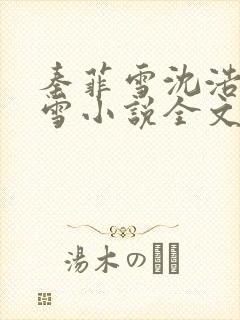 秦菲雪沈浩秦菲雪小说全文免费阅读求书