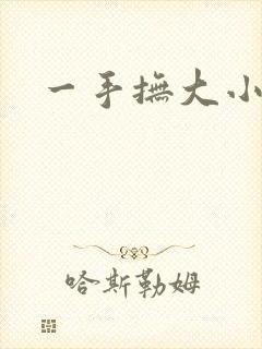 一手抚大小说