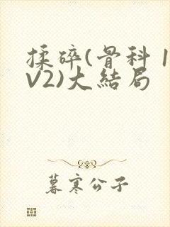 揉碎(骨科 1V2)大结局