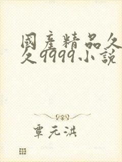 国产精品久久久久9999小说