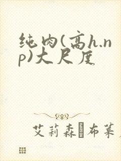 纯肉(高h.np)大尺度