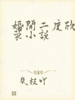 婚开二度欣欣向荣小说