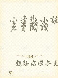 小清欢小说全文免费阅读