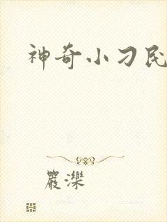 神奇小刁民