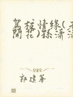 驾校情缘(老树开花)孙潇潇笔趣阁