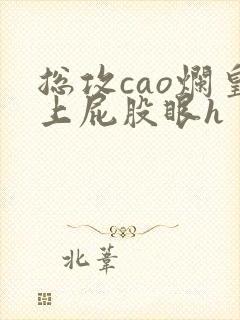 总攻cao烂皇上屁股眼h