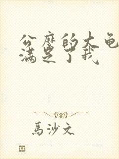 公么的大龟强大满足了我