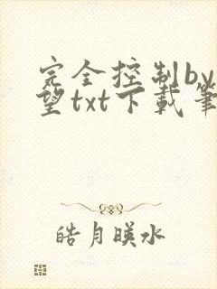 完全控制by天望txt下载笔趣阁