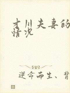 才川夫妻的恋爱情况