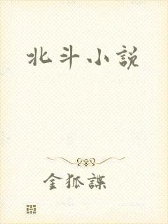北斗小说