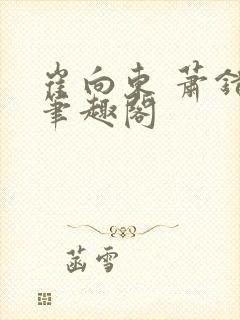 崔向东 萧错 笔趣阁