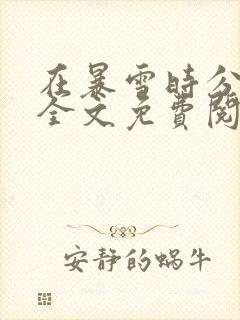 在暴雪时分小说全文免费阅读