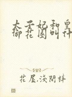 太子妃和皇帝在御花园叫什么小说