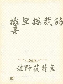 撒旦总裁的下堂妻