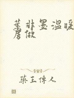 叶非墨温暖在厨房做