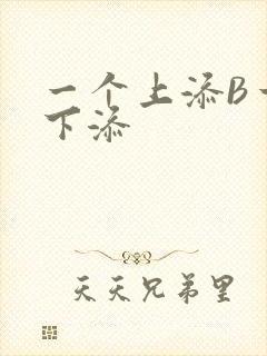 一个上添B一个下添