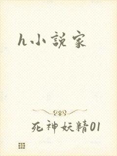 h小说家