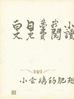 白日梦我小说全文免费阅读