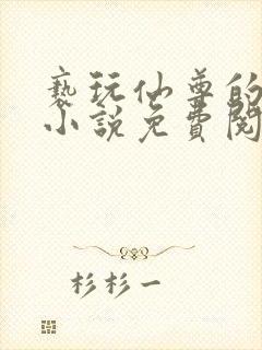 亵玩仙尊的道侣小说免费阅读