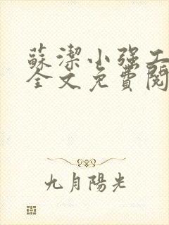 苏洁小强工地情全文免费阅读