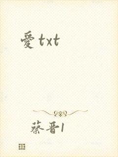 爱txt