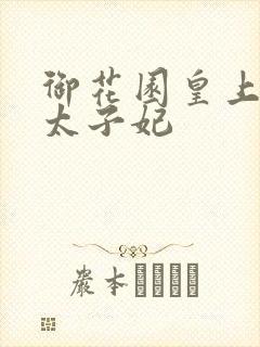 御花园皇上撞着太子妃