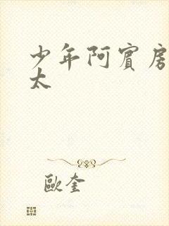 少年阿宾房东太太