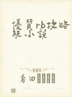 优质rb攻略系统小说