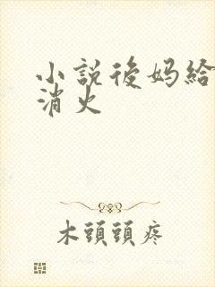 小说后妈给我消消火